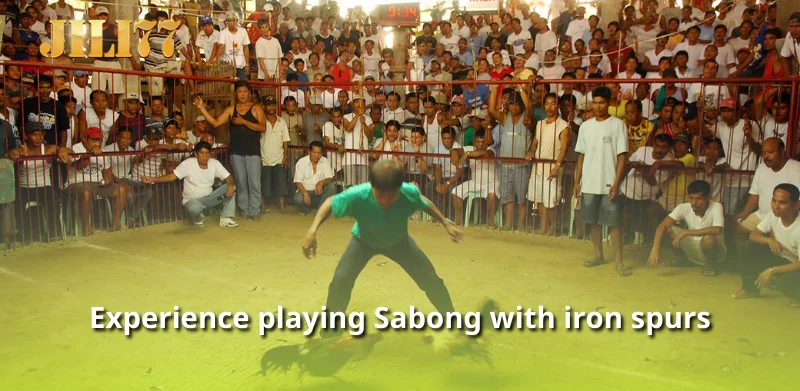 Experience playing Sabong with iron spurs