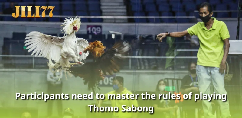 Participants need to master the rules of playing Thomo Sabong