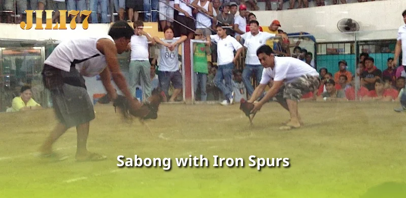 Sabong with Iron Spurs